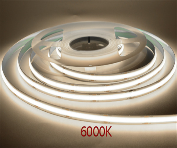 New product: COB LED Strip -480D